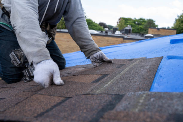 Best Storm Damage Roof Repair  in Wilsons Mills, NC